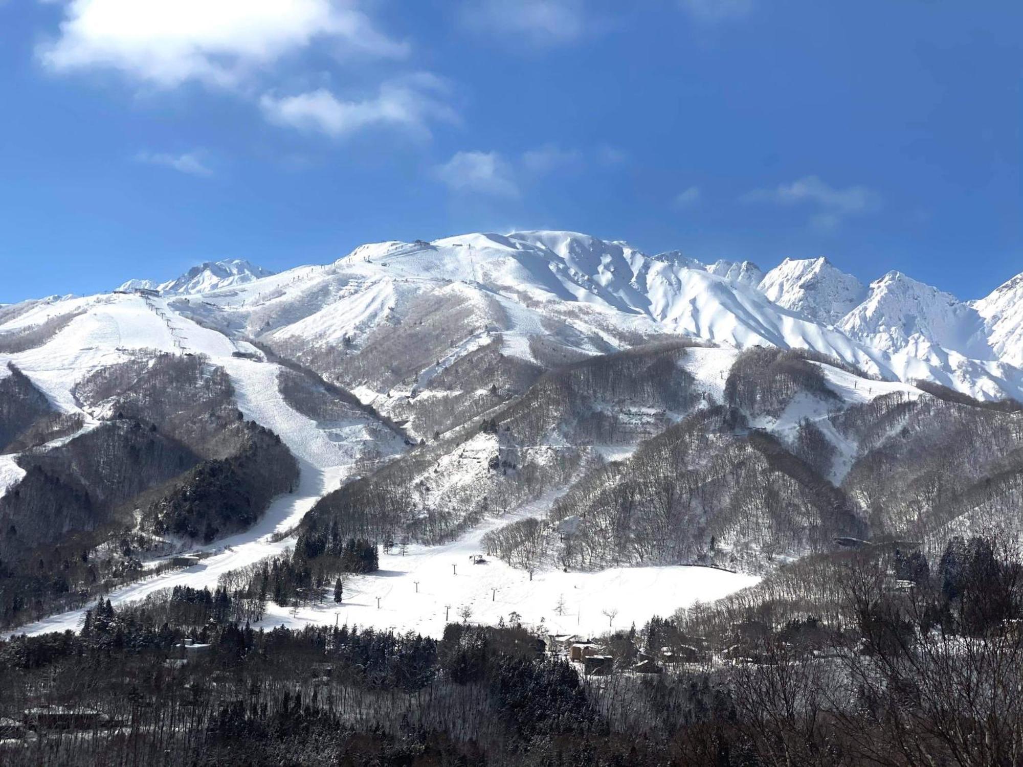 Winterfell Villa Hakuba Kültér fotó