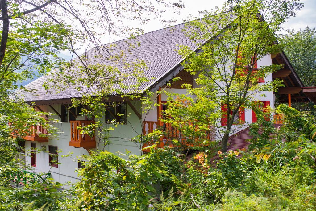 Winterfell Villa Hakuba Kültér fotó